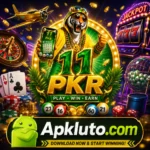 11Pkr Game