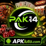 Pak14 Game