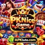 Pknice Game